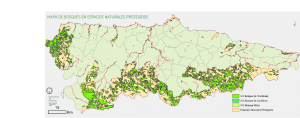 Bosques en espacios protegidos