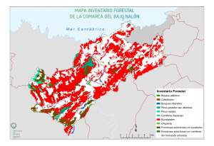 Bajo Nalón - Mapa forestal